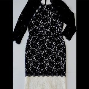 Alexis beautiful dress size M